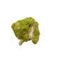 Top-down view of nontronite specimen no. 14, 2.61 inches wide, with soft botryoidal texture over exposed matrix.