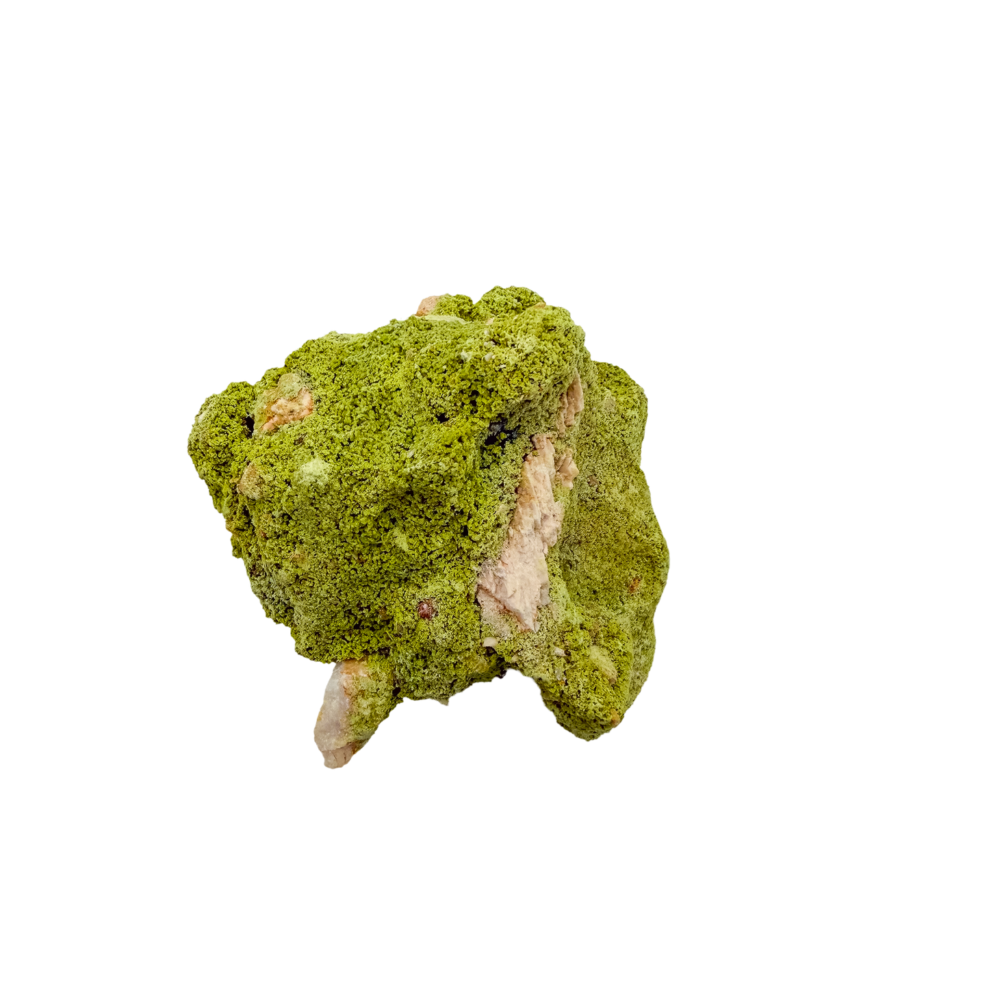 Top-down view of nontronite specimen no. 14, 2.61 inches wide, with soft botryoidal texture over exposed matrix.