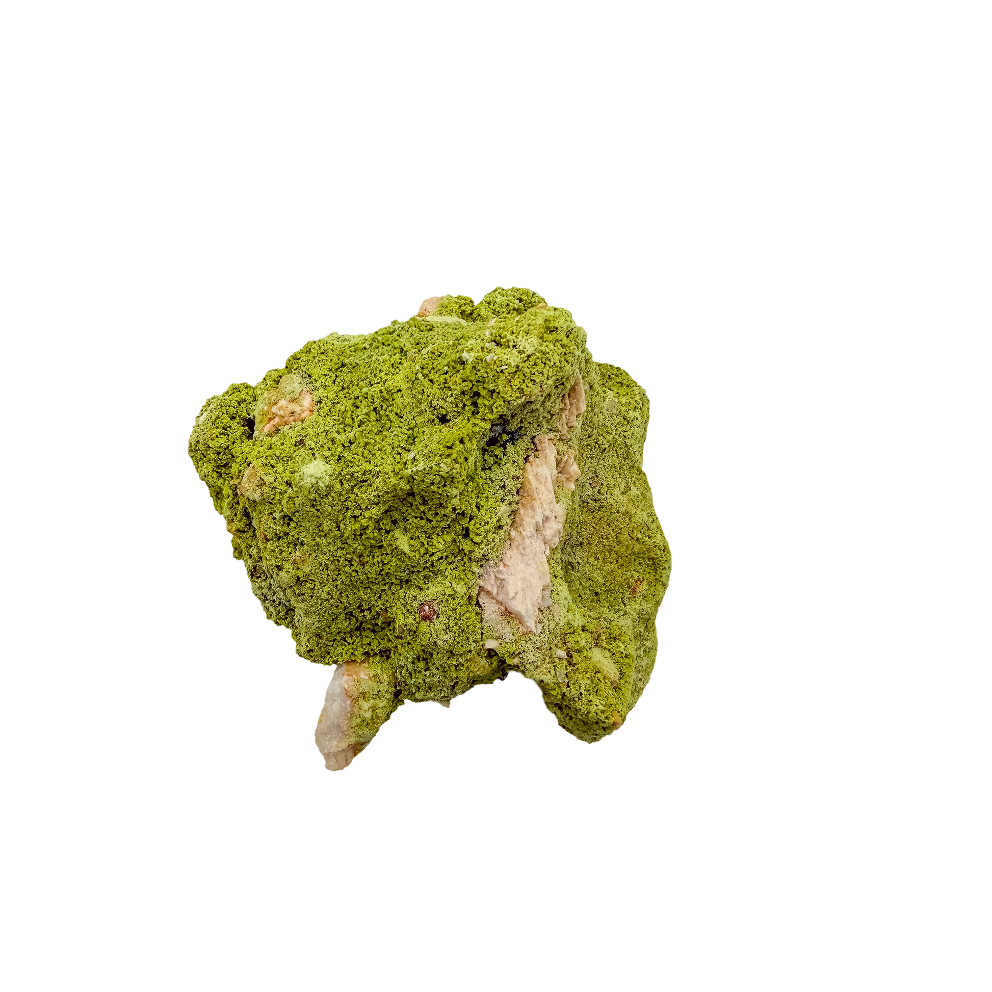 Top-down view of nontronite specimen no. 14, 2.61 inches wide, with soft botryoidal texture over exposed matrix.