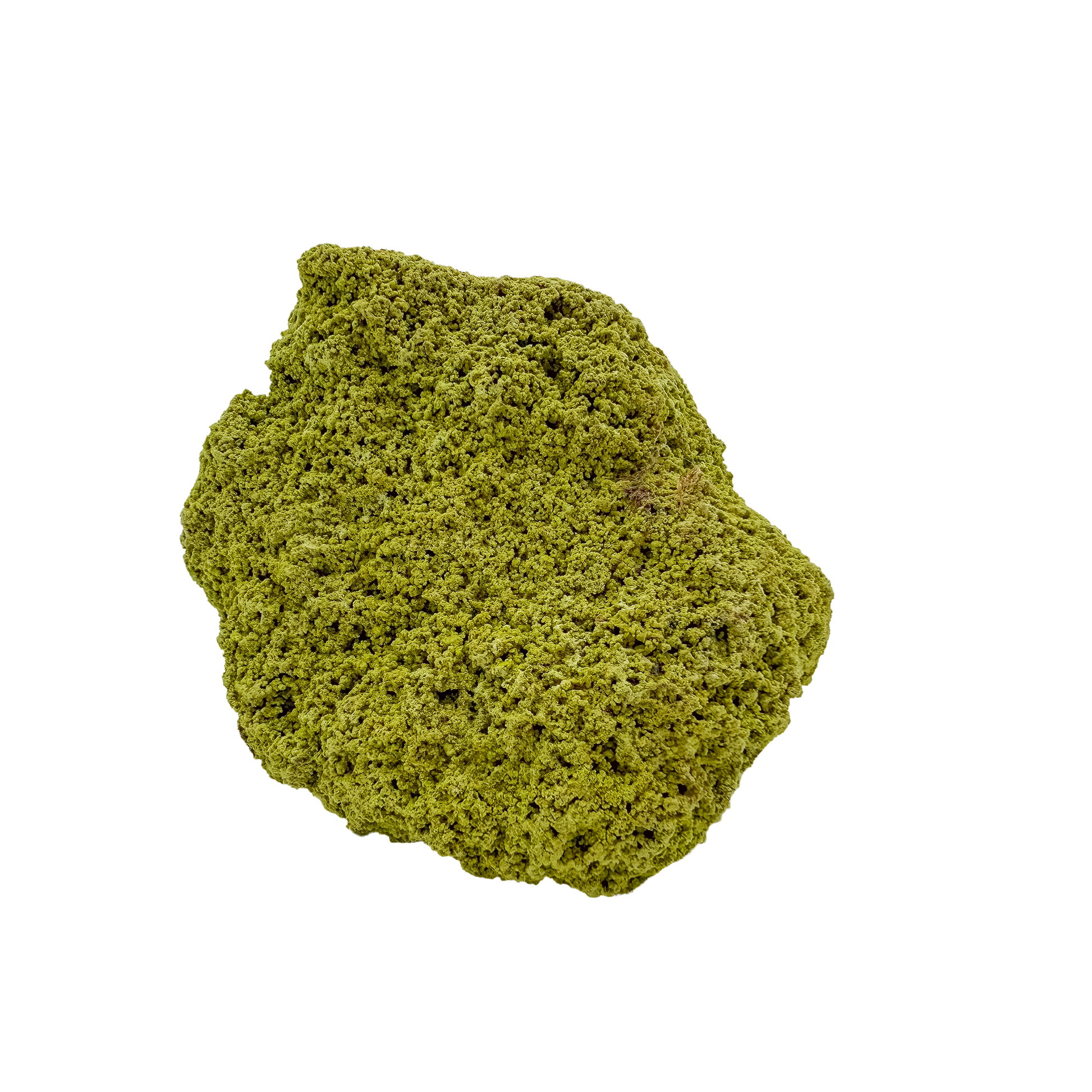 Nontronite no. 15 from the left profile, 3.17 inches long, its chalky green surface untreated and as-mined.