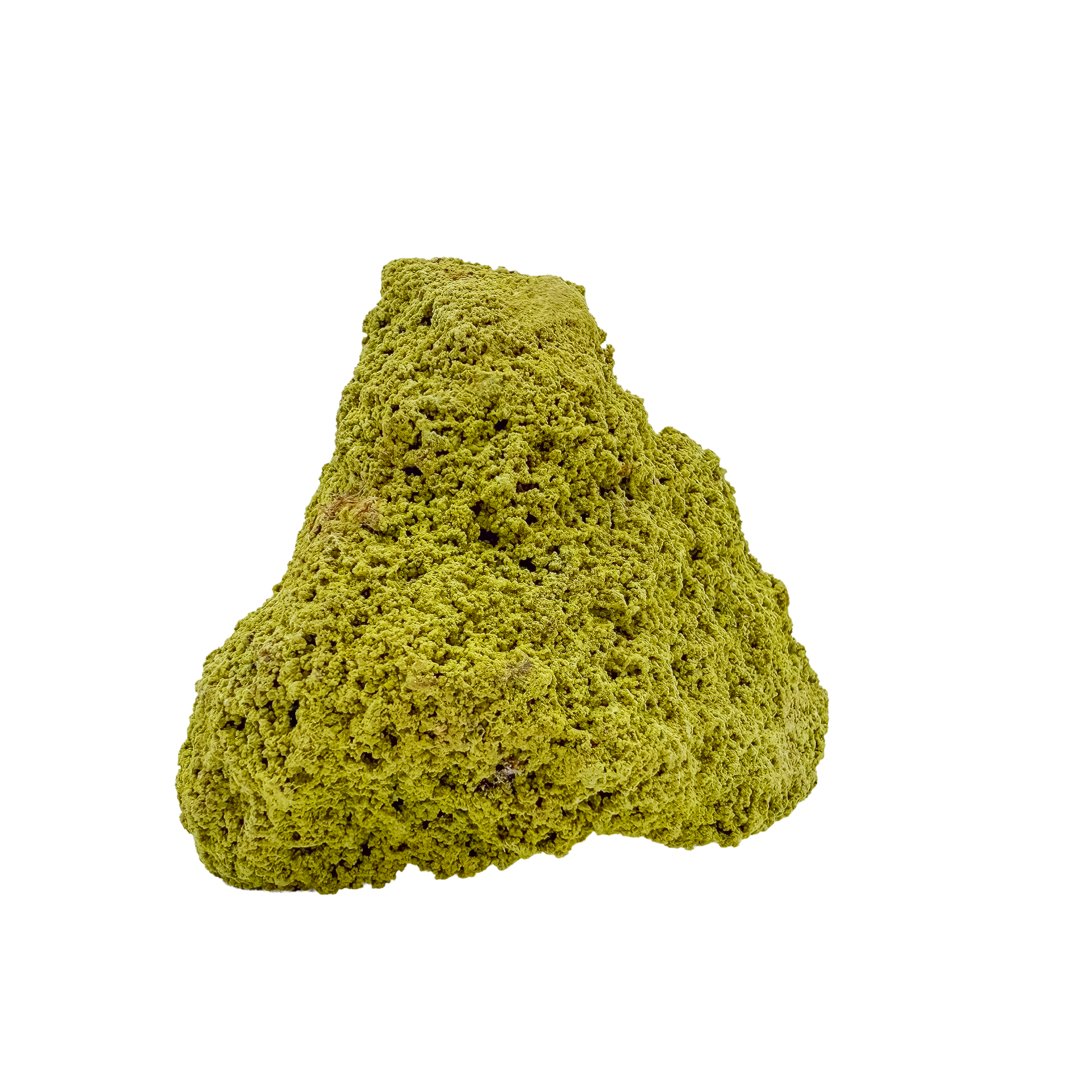 Untreated Brazilian nontronite, specimen no. 15, right profile, 2.95 by 2.50 inches of yellow-green botryoidal growth.