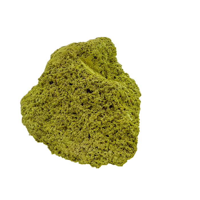 Specimen no. 15 of Minas Gerais nontronite, primary display face, olive-green bubbles built up over a 2.50 inch height.