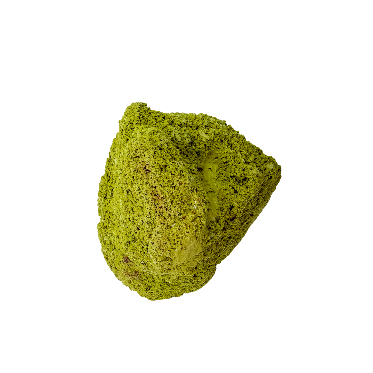 The top-down view of collector nontronite no. 15, 138 grams, showing how the bubbled crust wraps the host rock.