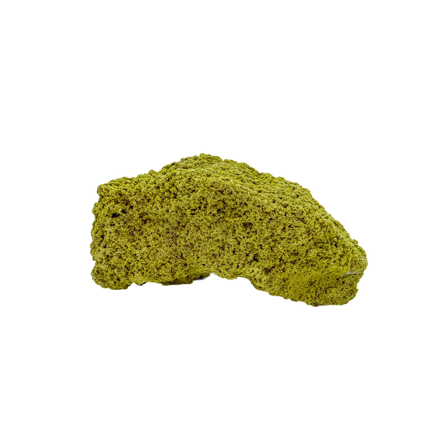 Collector-grade Brazilian nontronite no. 16 photographed from the reverse side, 3.62 by 2.31 inches of bubbled green clay mineral.