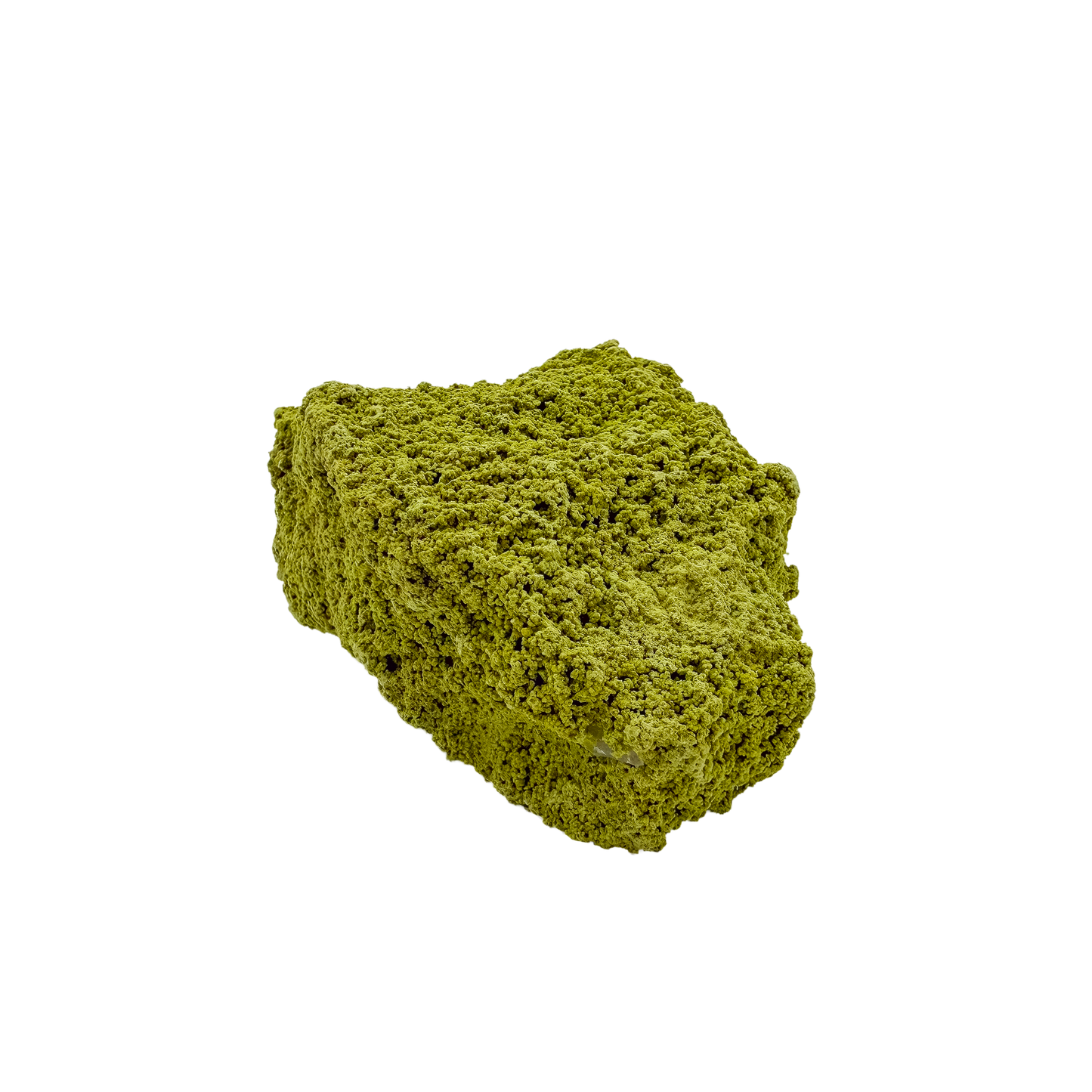 The left profile of nontronite no. 16, a 1.60 inch tall piece whose yellow-green surface reads as clustered bubbles.