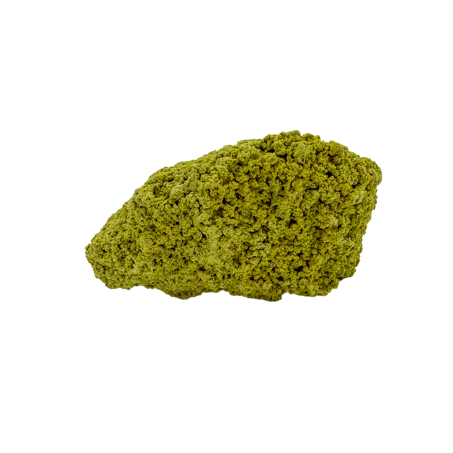 Nontronite no. 16 seen from the right profile: 121 grams of iron-rich smectite clay in chartreuse and olive tones.