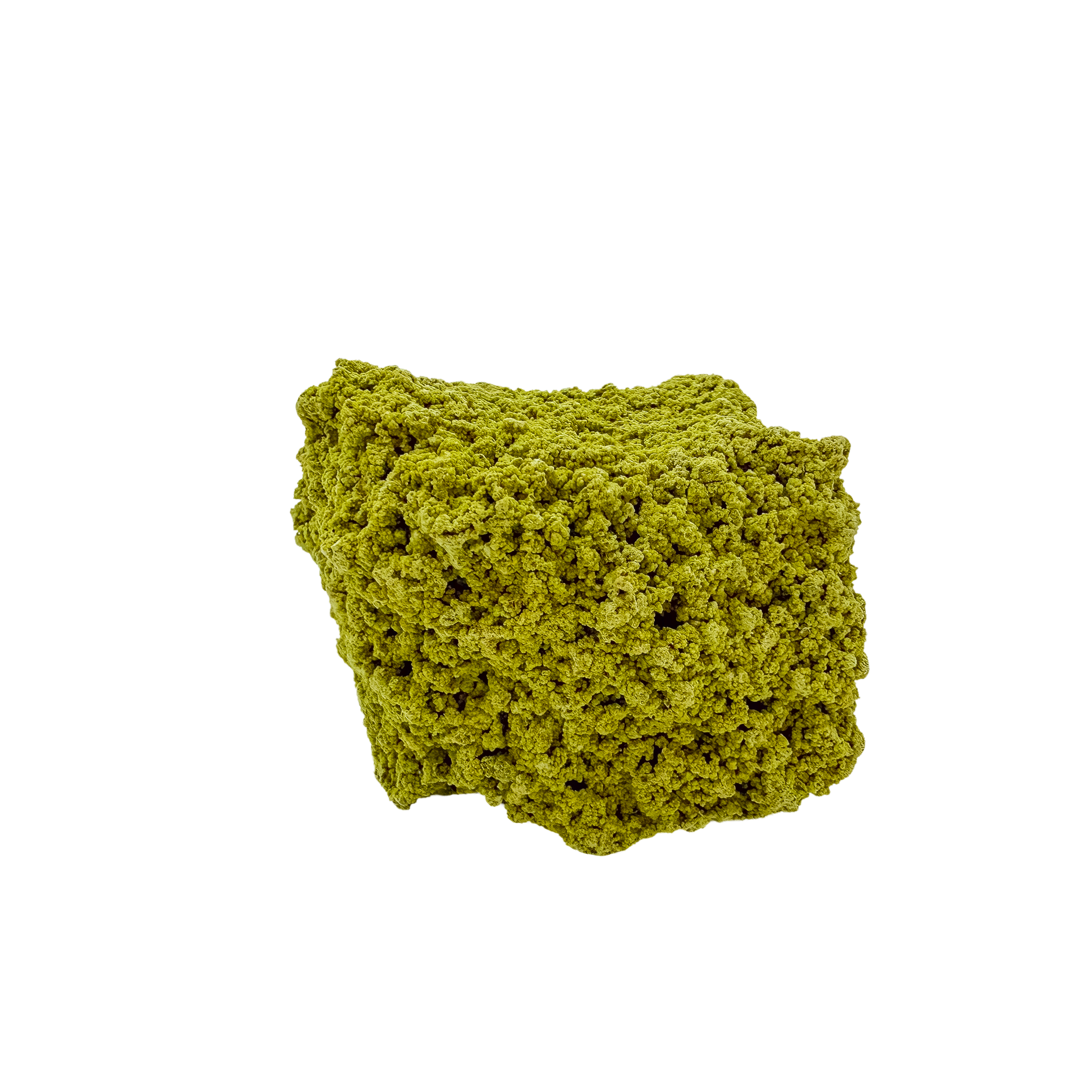 Top-down view of nontronite specimen no. 16, 2.31 inches wide, with soft botryoidal texture over exposed matrix.