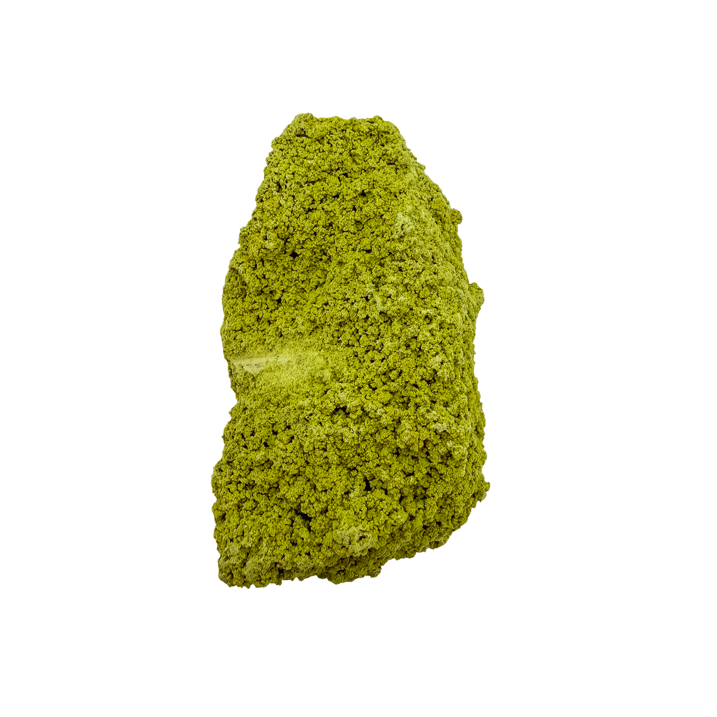 Botryoidal nontronite from Brazil, specimen no. 16, angled three-quarter view, measuring 3.62 by 2.31 by 1.60 inches at 121 grams.