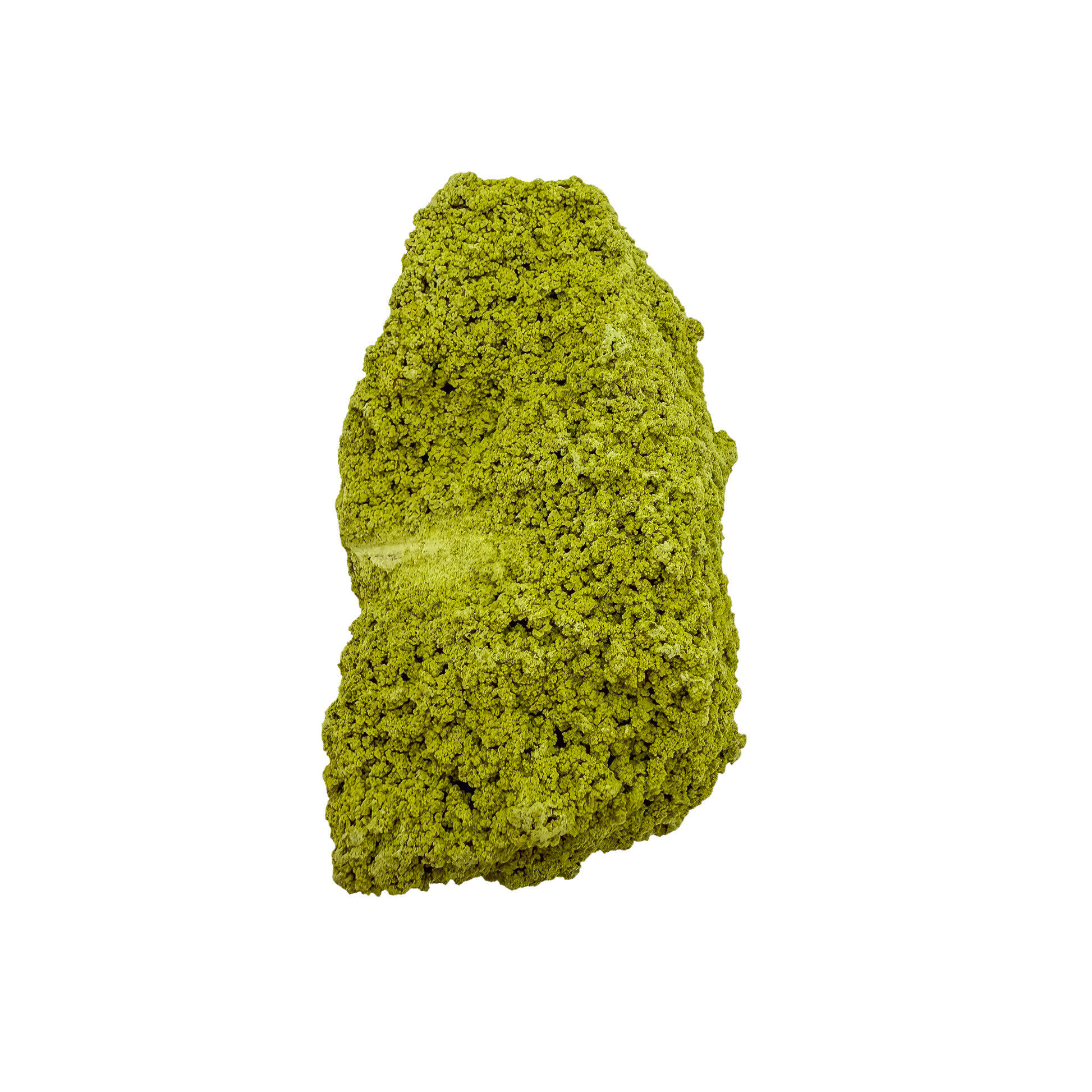Botryoidal nontronite from Brazil, specimen no. 16, angled three-quarter view, measuring 3.62 by 2.31 by 1.60 inches at 121 grams.