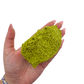 A hand holds nontronite no. 16 for scale, the 121 gram specimen spanning roughly 3.62 inches across the palm.