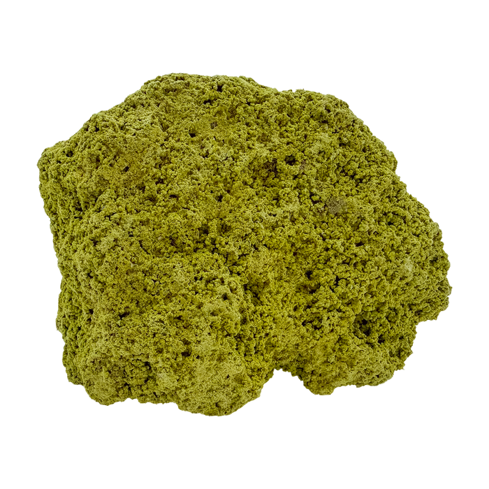Specimen no. 17 of Minas Gerais nontronite, primary display face, olive-green bubbles built up over a 2.55 inch height.