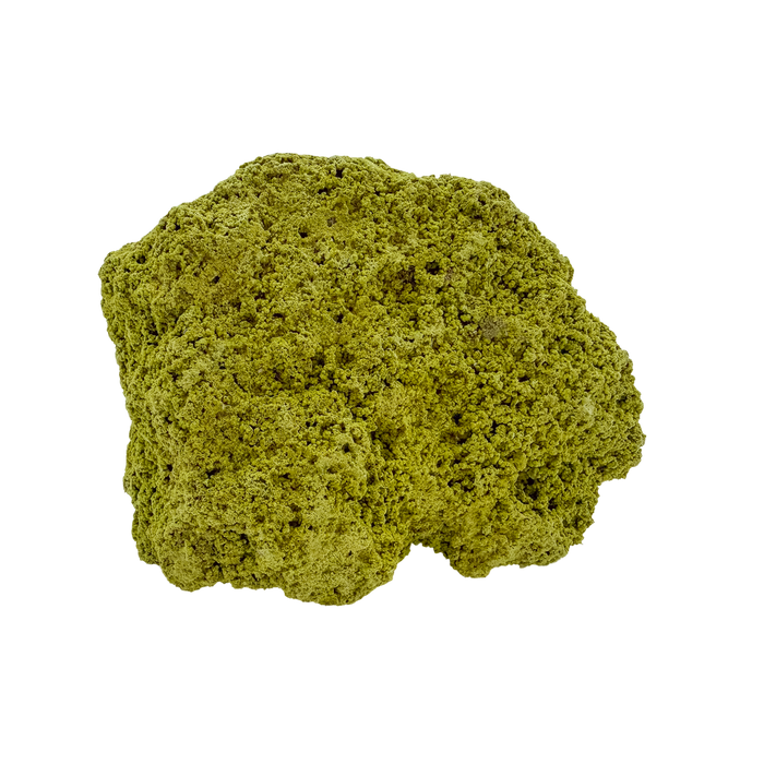 Specimen no. 17 of Minas Gerais nontronite, primary display face, olive-green bubbles built up over a 2.55 inch height.