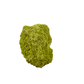 Nontronite specimen no. 17 photographed angled three-quarter view, a 3.40 by 2.13 inch piece of soft Mohs 1-2 clay mineral.