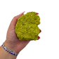Scale reference for nontronite no. 17: the 3.40 by 2.13 inch specimen resting in an open hand.