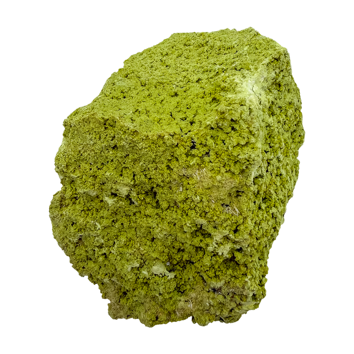 Primary display face of a 218 gram nontronite specimen, no. 18, its rounded olive-green growths covering weathered host rock.