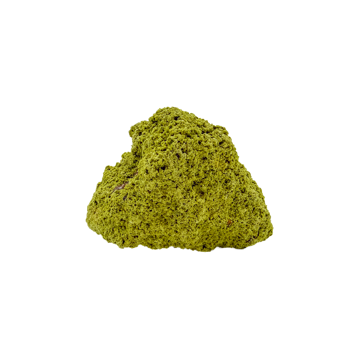 Specimen no. 19 of Minas Gerais nontronite, primary display face, olive-green bubbles built up over a 2.07 inch height.