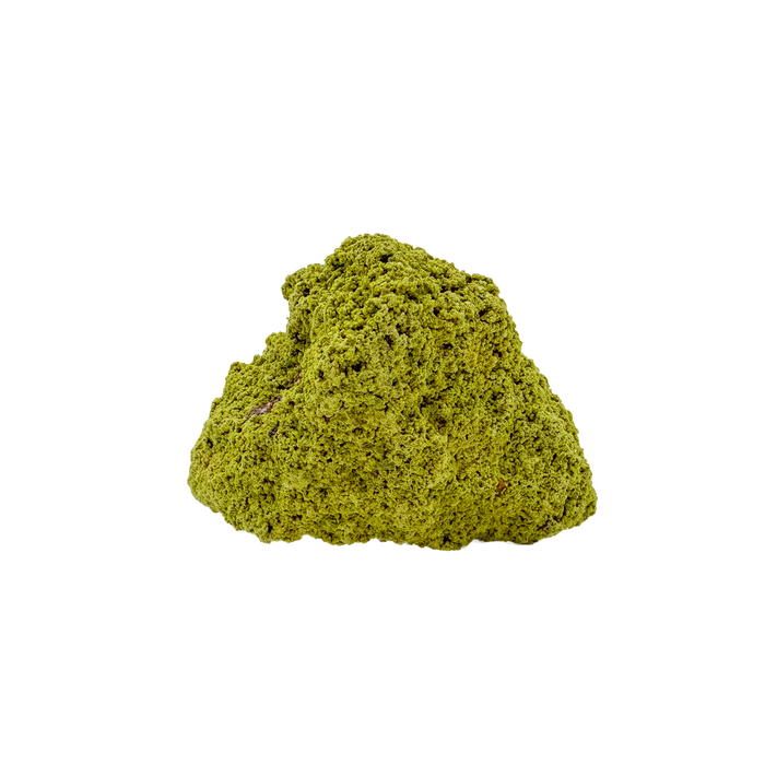 Specimen no. 19 of Minas Gerais nontronite, primary display face, olive-green bubbles built up over a 2.07 inch height.