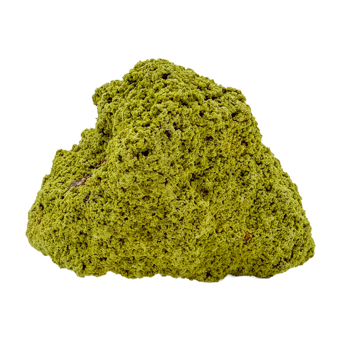 Specimen no. 19 of Minas Gerais nontronite, primary display face, olive-green bubbles built up over a 2.07 inch height.