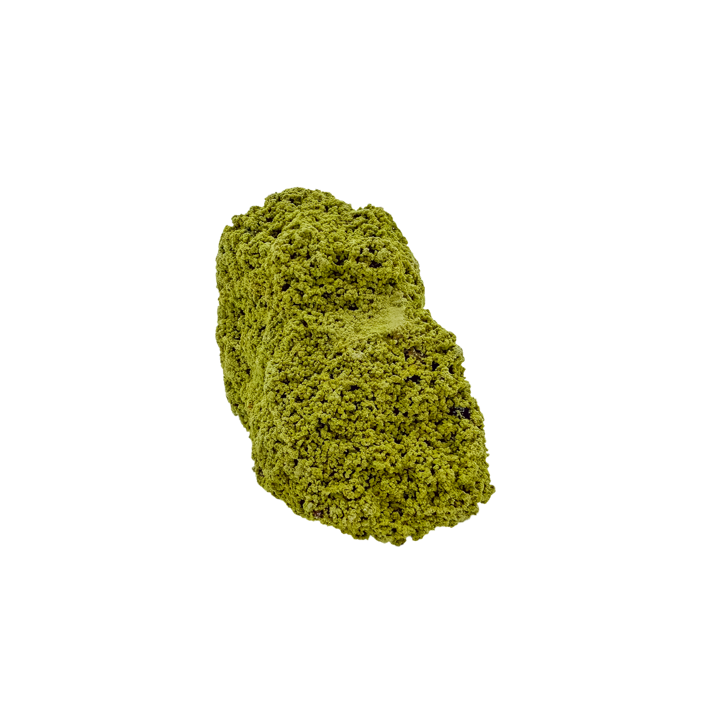 Untreated Brazilian nontronite, specimen no. 19, right profile, 1.68 by 2.07 inches of yellow-green botryoidal growth.