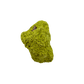 The top-down view of collector nontronite no. 19, 70 grams, showing how the bubbled crust wraps the host rock.