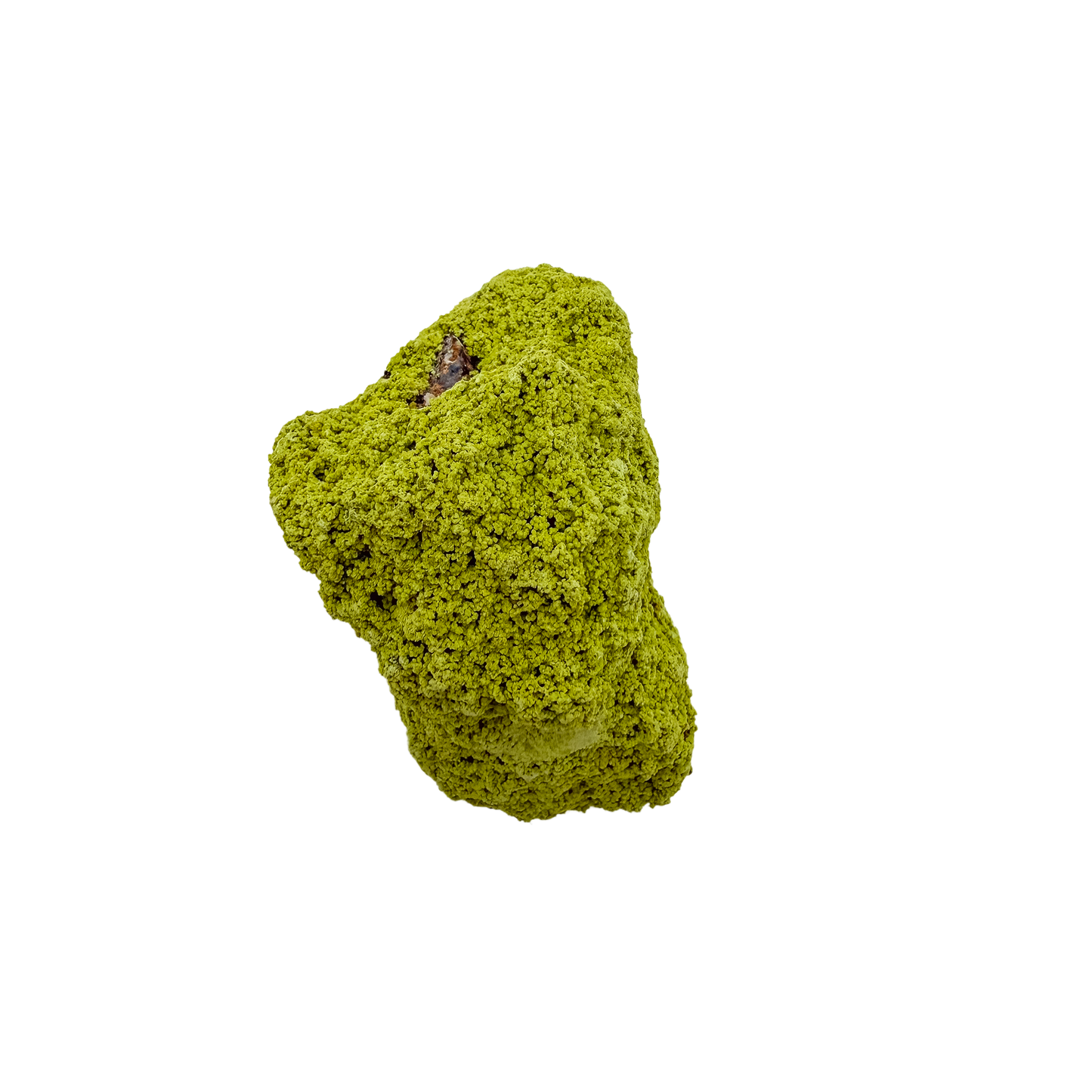 The top-down view of collector nontronite no. 19, 70 grams, showing how the bubbled crust wraps the host rock.