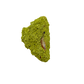 Nontronite specimen no. 19 photographed angled three-quarter view, a 2.87 by 1.68 inch piece of soft Mohs 1-2 clay mineral.