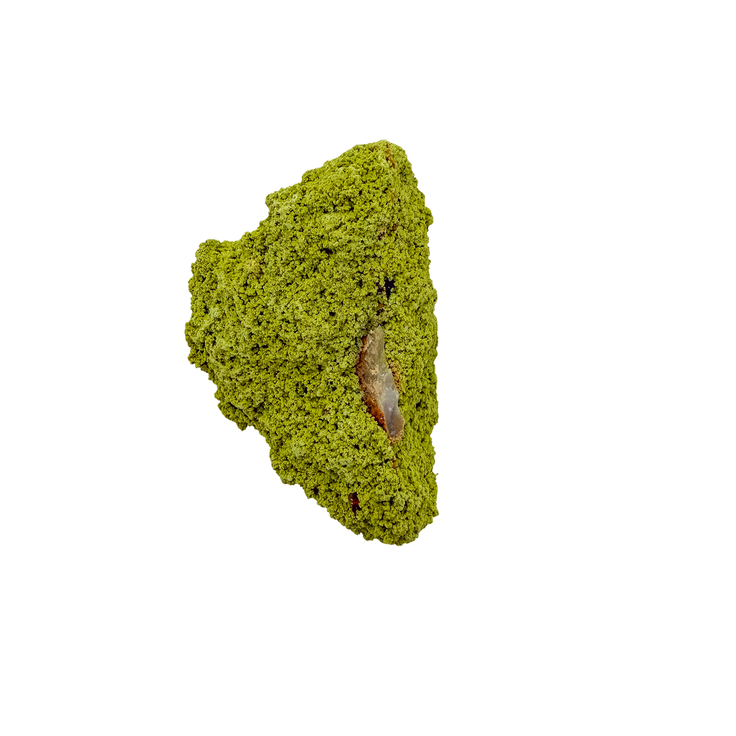 Nontronite specimen no. 19 photographed angled three-quarter view, a 2.87 by 1.68 inch piece of soft Mohs 1-2 clay mineral.