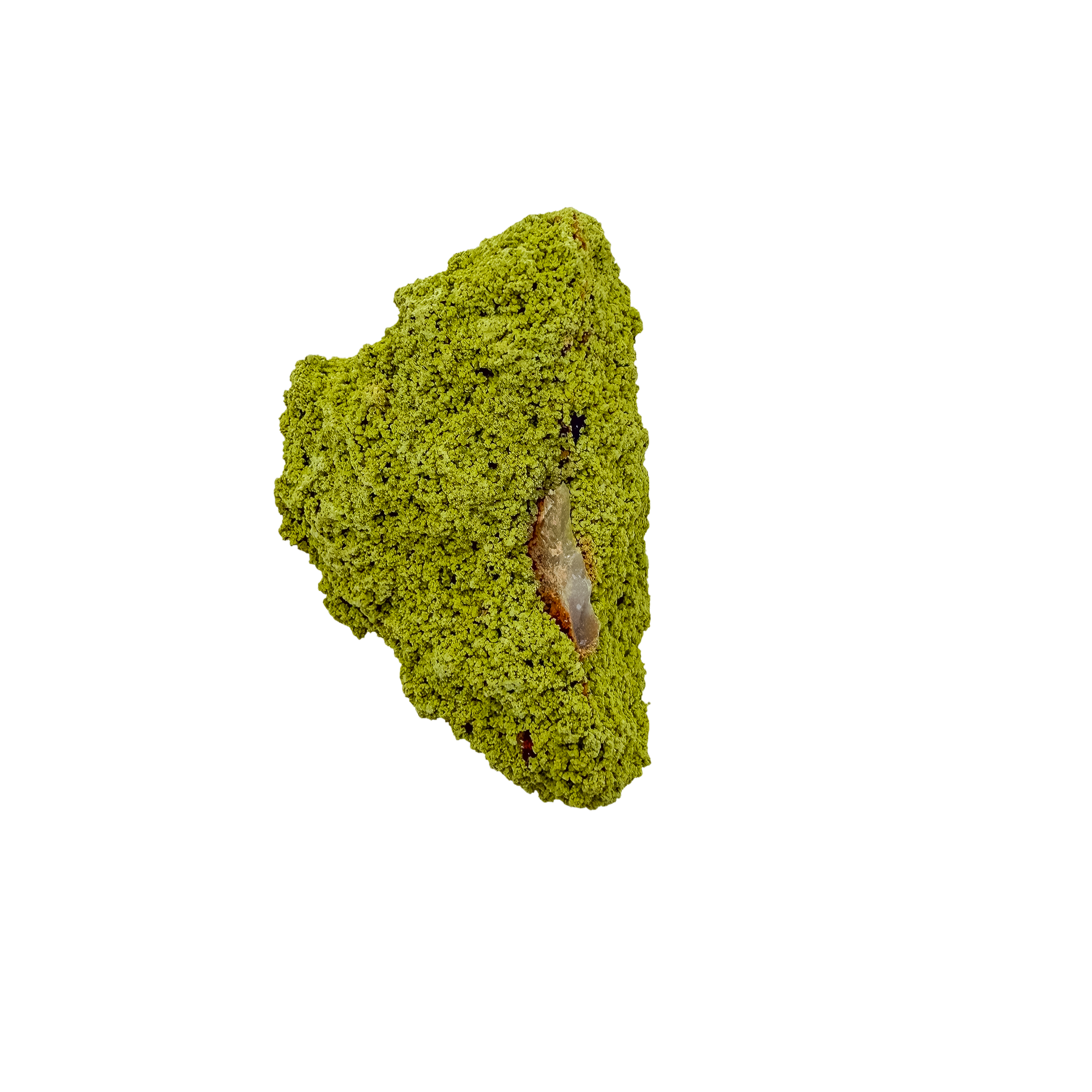 Nontronite specimen no. 19 photographed angled three-quarter view, a 2.87 by 1.68 inch piece of soft Mohs 1-2 clay mineral.