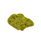 Collector-grade Brazilian nontronite no. 20 photographed from the reverse side, 3.56 by 2.82 inches of bubbled green clay mineral.