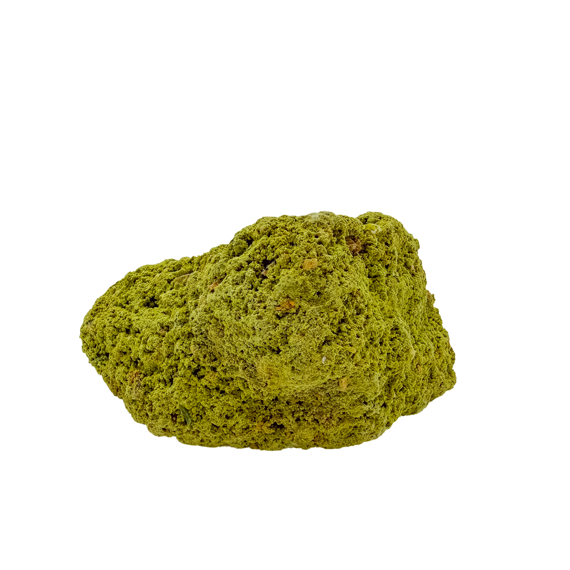 Nontronite no. 20 seen from the right profile: 134 grams of iron-rich smectite clay in chartreuse and olive tones.
