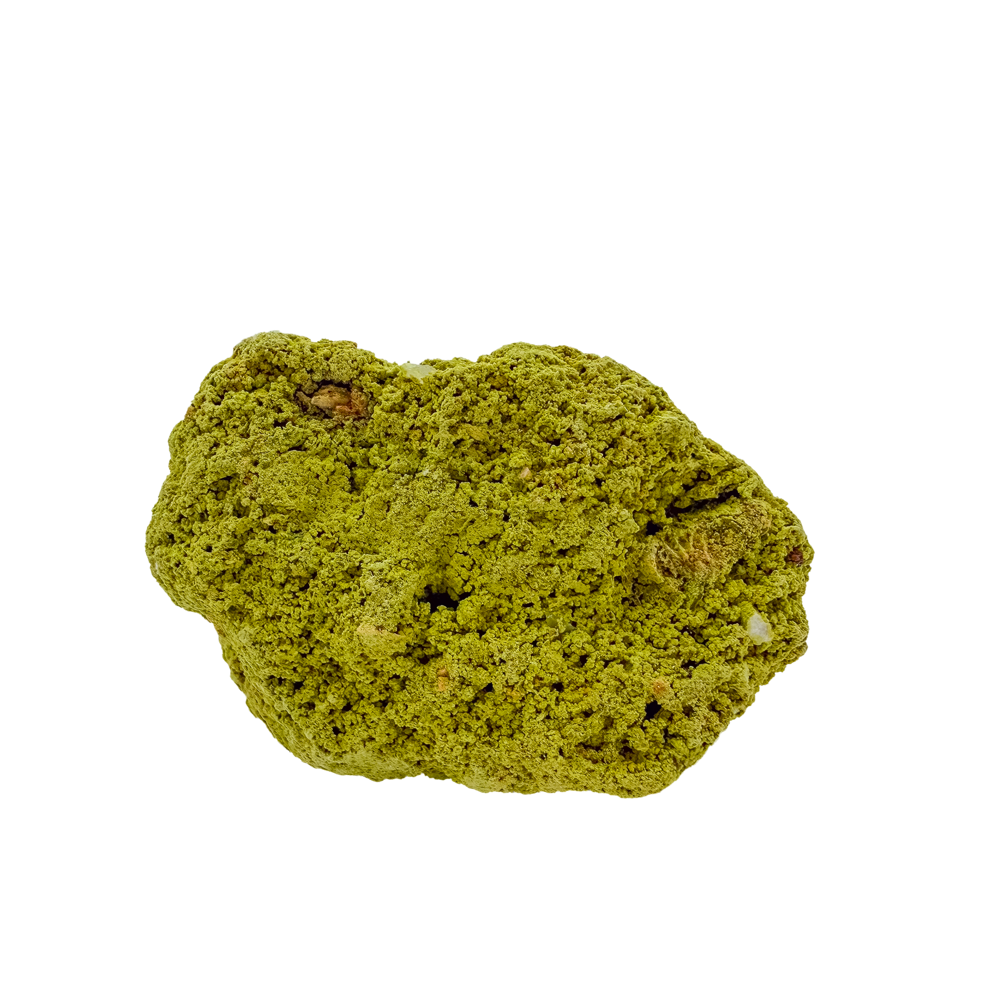 Primary display face of a 134 gram nontronite specimen, no. 20, its rounded olive-green growths covering weathered host rock.