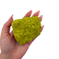 Nontronite specimen no. 20 held in an open hand, showing the true size of this 3.56 inch, 134 gram piece.