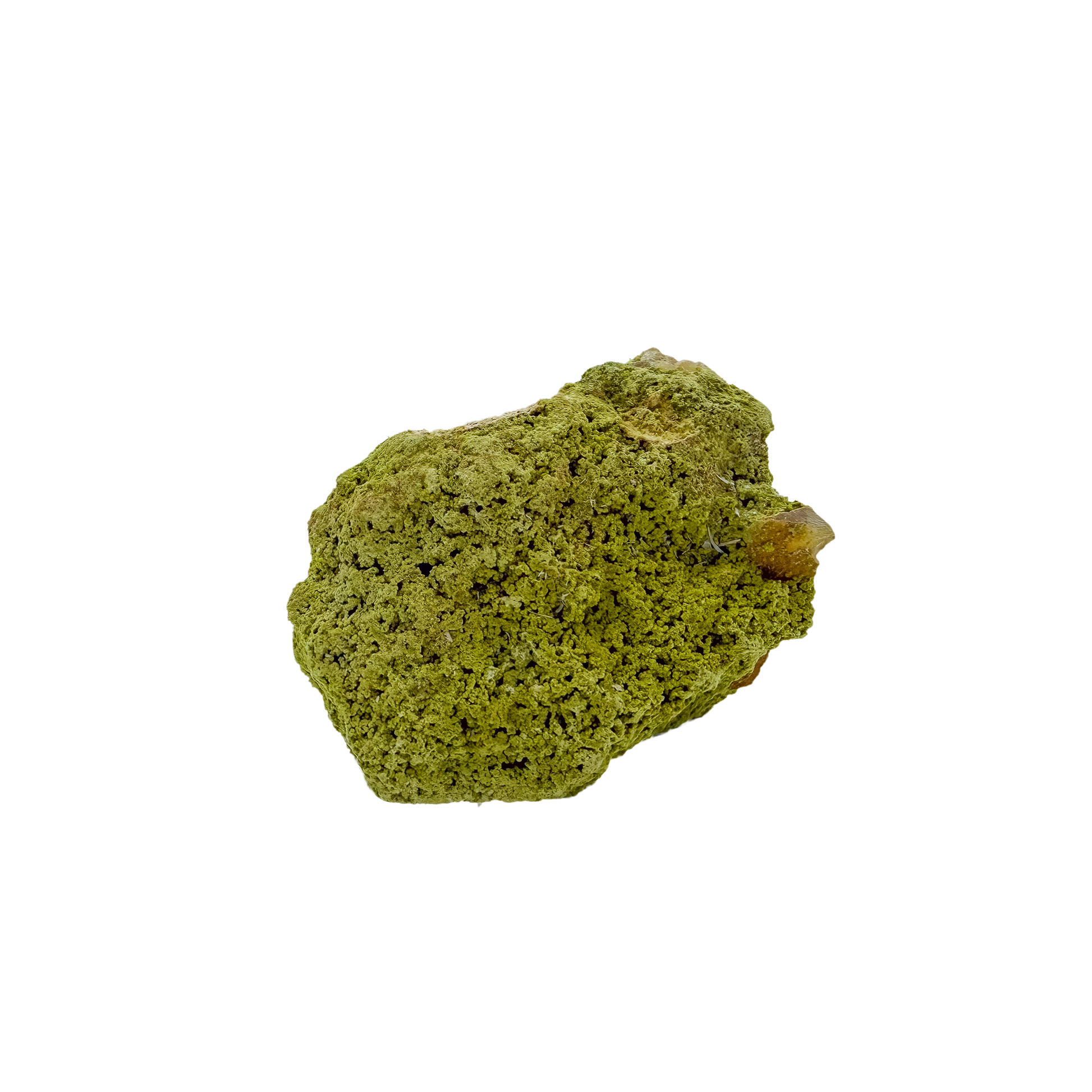 Nontronite no. 21 from the left profile, 2.26 inches long, its chalky green surface untreated and as-mined.