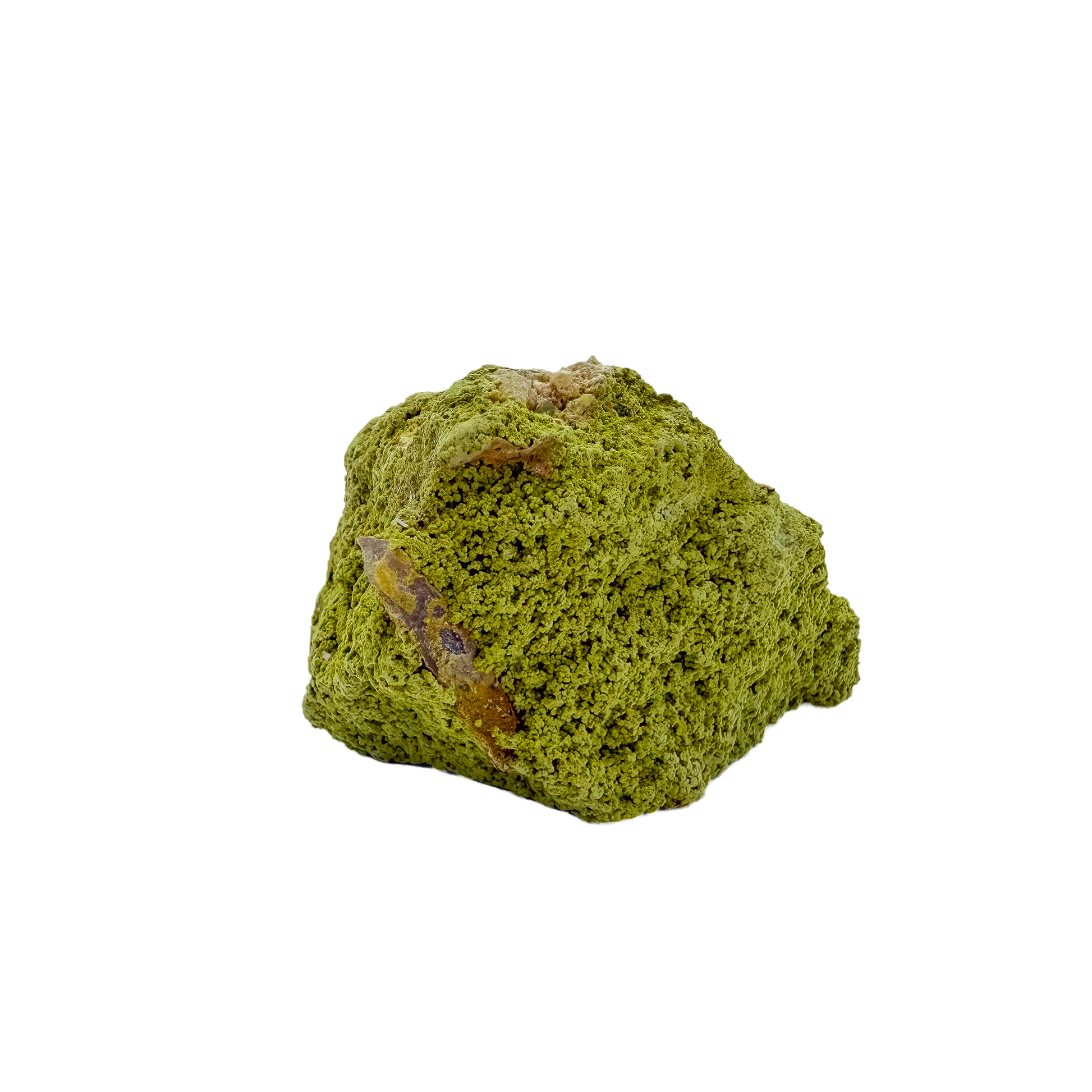 Untreated Brazilian nontronite, specimen no. 21, right profile, 1.92 by 2.76 inches of yellow-green botryoidal growth.