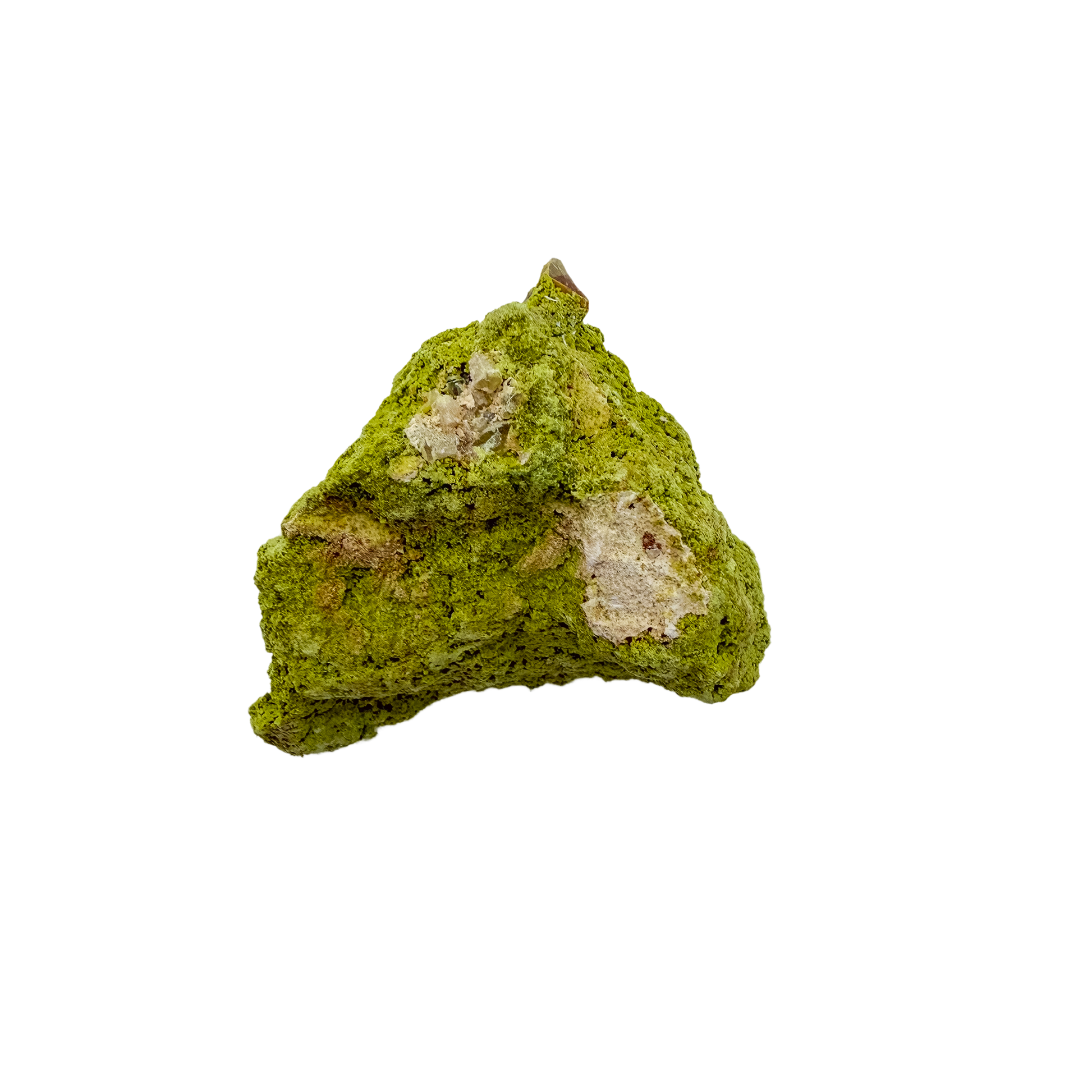 The top-down view of collector nontronite no. 21, 106 grams, showing how the bubbled crust wraps the host rock.