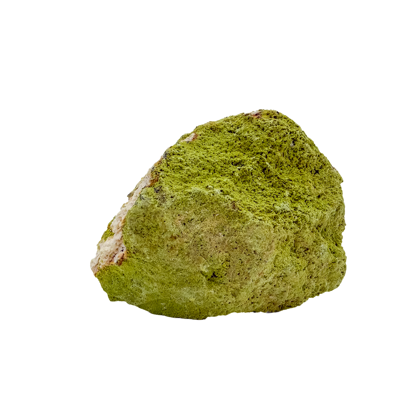 Collector-grade Brazilian nontronite no. 22 photographed from the reverse side, 3.76 by 2.74 inches of bubbled green clay mineral.