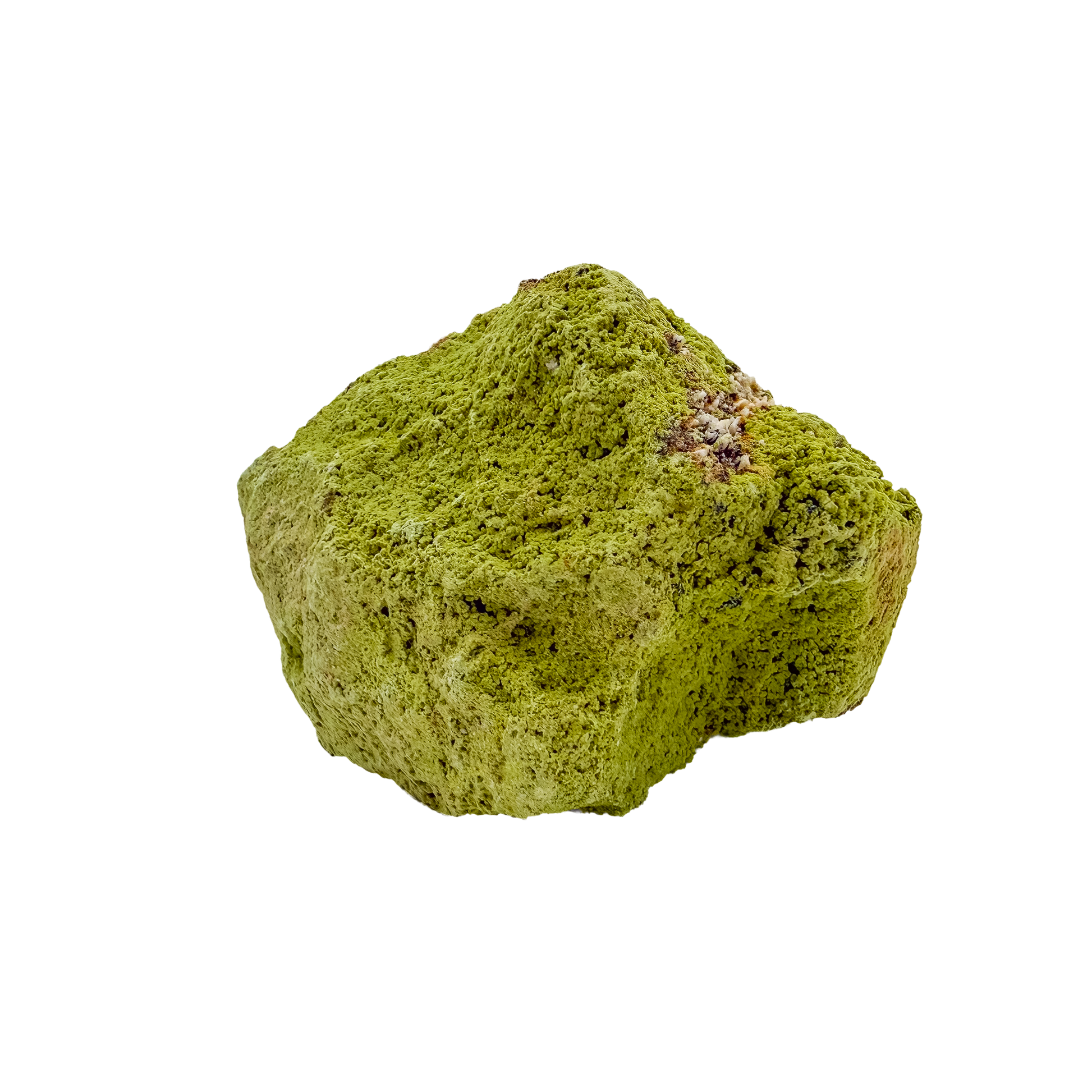 The left profile of nontronite no. 22, a 2.92 inch tall piece whose yellow-green surface reads as clustered bubbles.