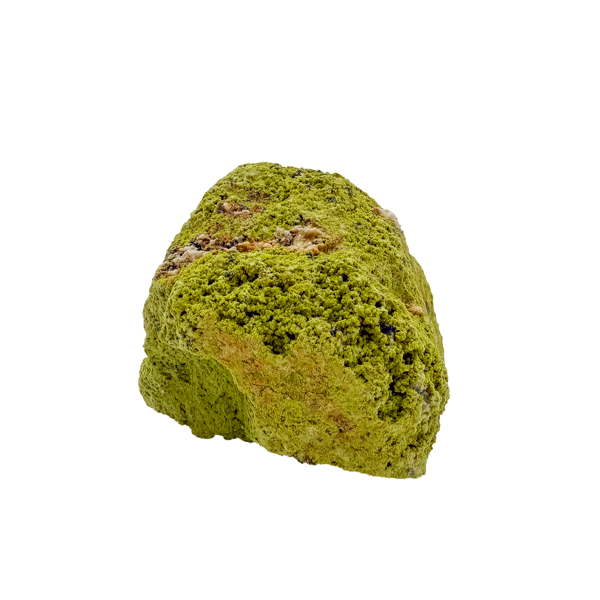 Nontronite no. 22 seen from the right profile: 324 grams of iron-rich smectite clay in chartreuse and olive tones.