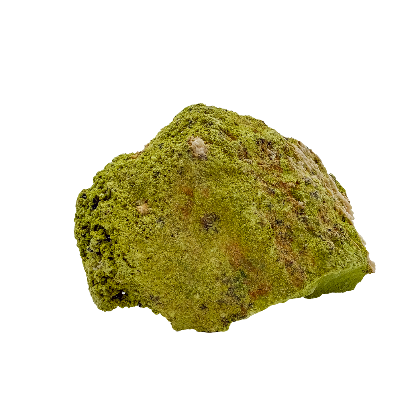 Primary display face of a 324 gram nontronite specimen, no. 22, its rounded olive-green growths covering weathered host rock.