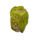 Top-down view of nontronite specimen no. 22, 2.74 inches wide, with soft botryoidal texture over exposed matrix.