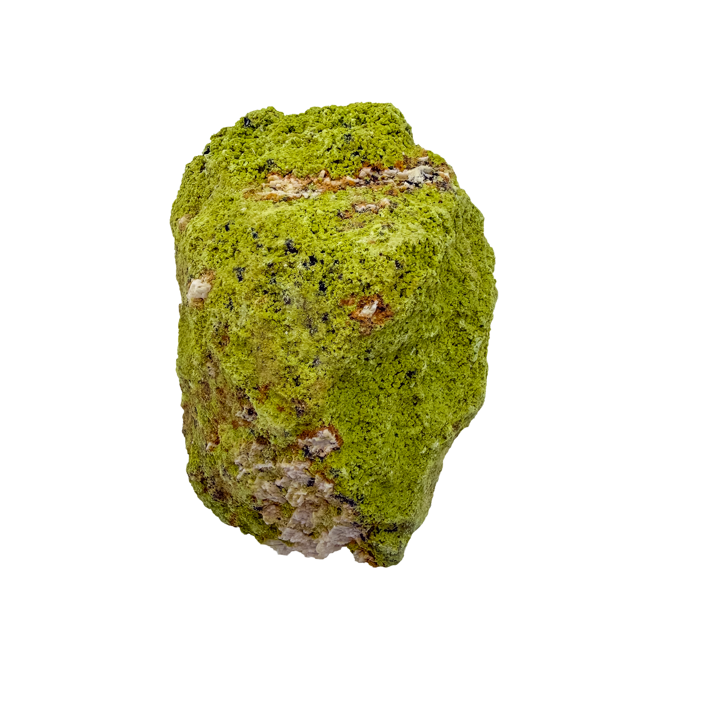 Top-down view of nontronite specimen no. 22, 2.74 inches wide, with soft botryoidal texture over exposed matrix.