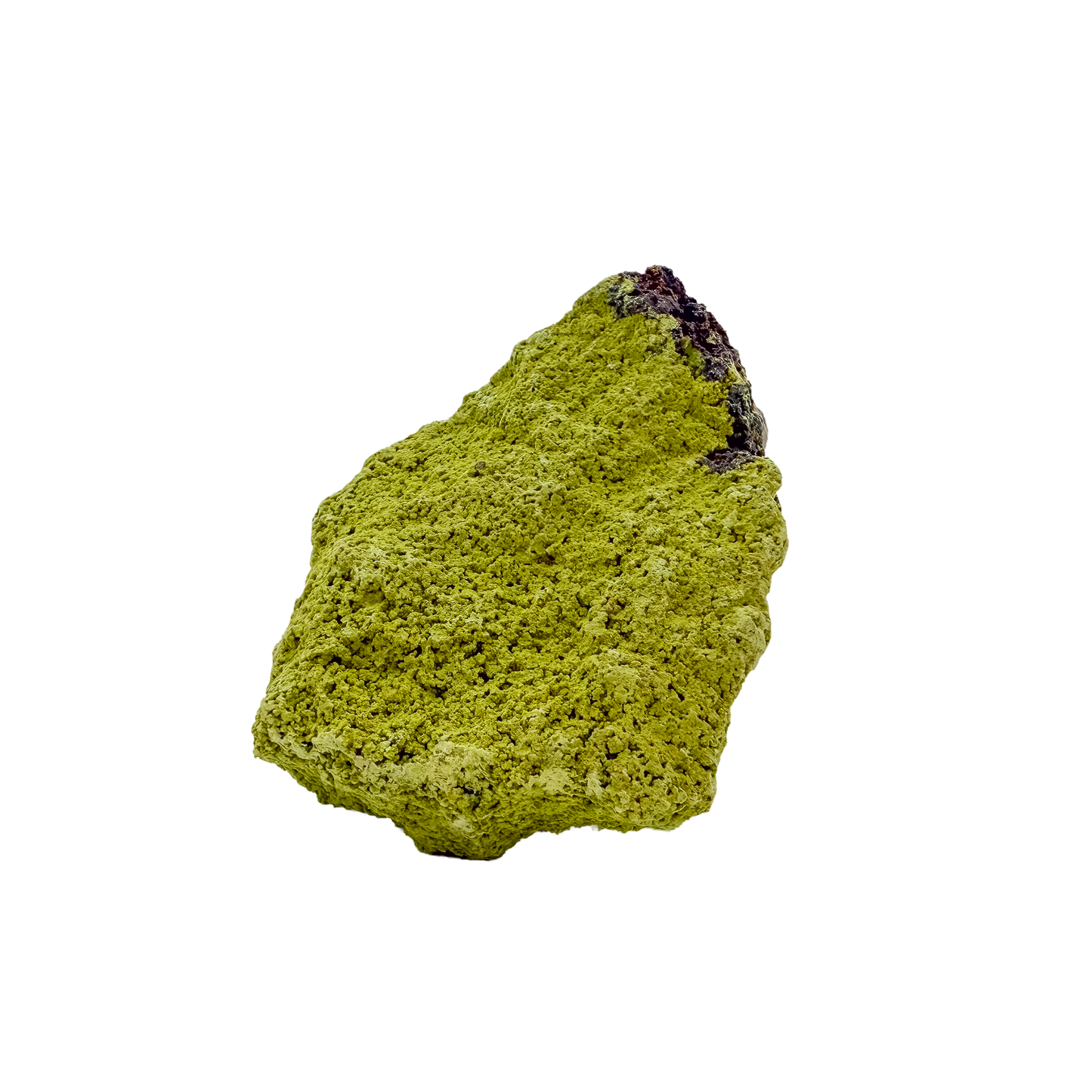 Nontronite no. 23 from the left profile, 4.08 inches long, its chalky green surface untreated and as-mined.