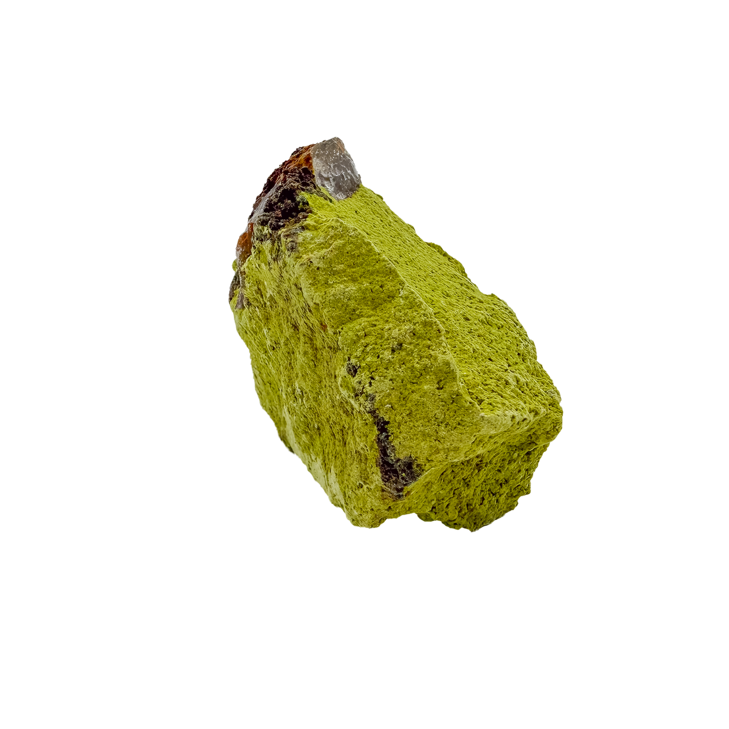 The top-down view of collector nontronite no. 23, 338 grams, showing how the bubbled crust wraps the host rock.