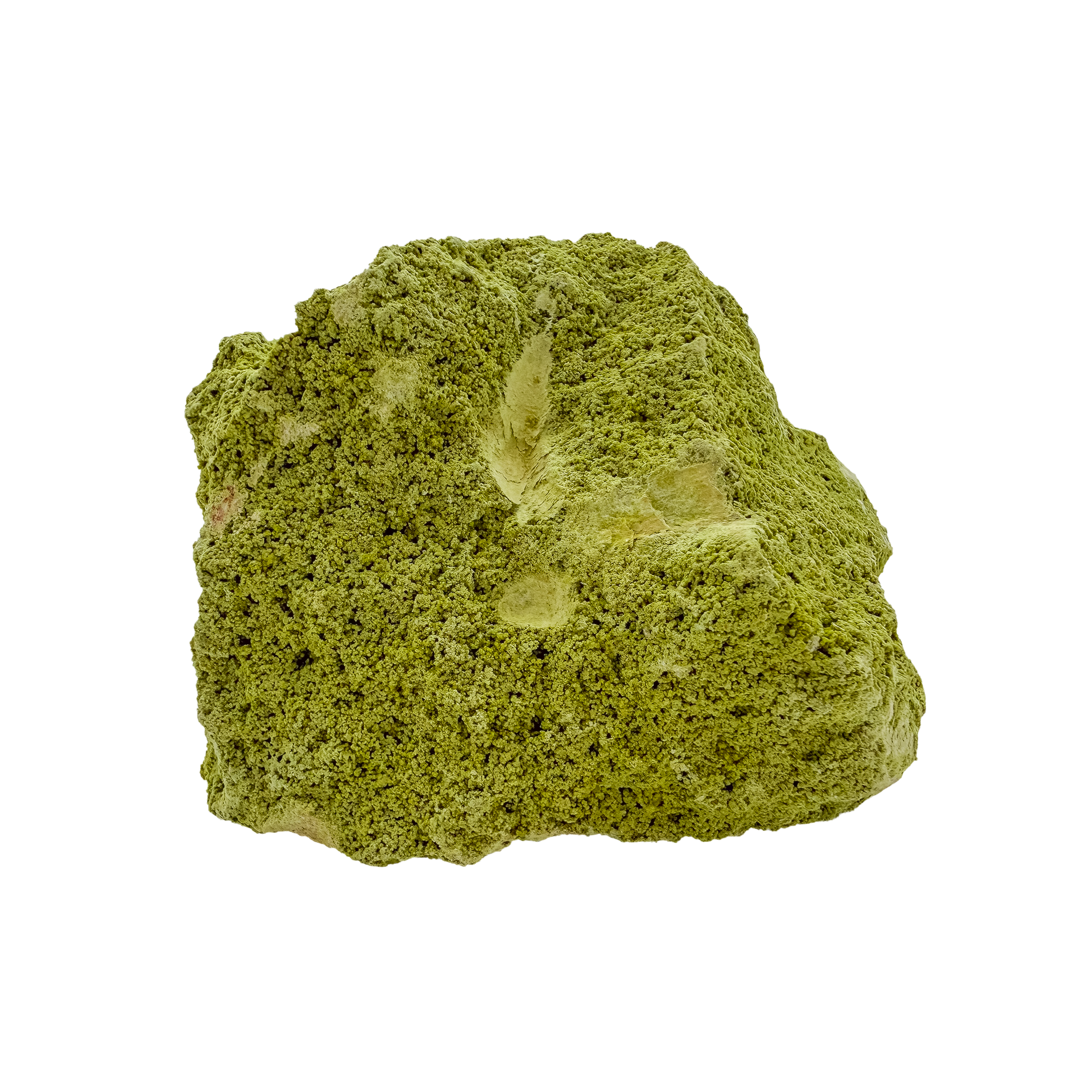 Primary display face of a 340 gram nontronite specimen, no. 24, its rounded olive-green growths covering weathered host rock.
