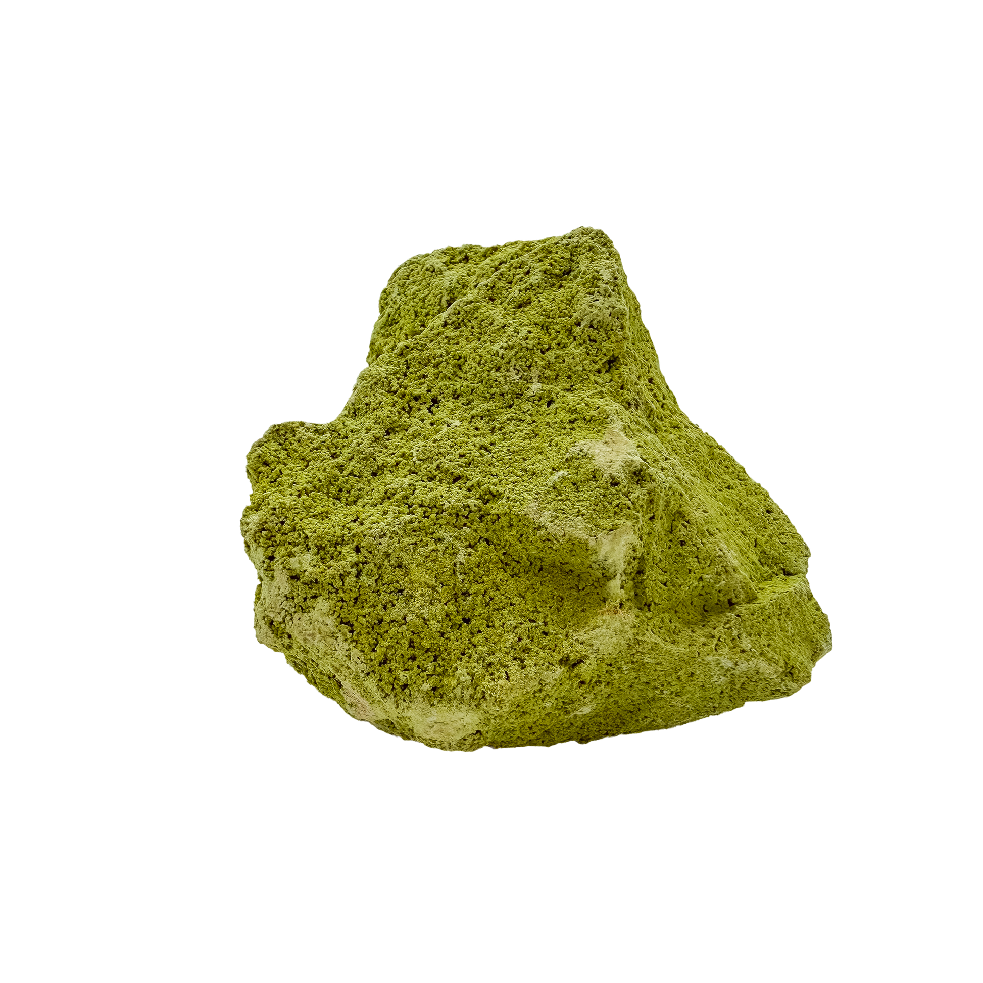 Nontronite no. 24 seen from the right profile: 340 grams of iron-rich smectite clay in chartreuse and olive tones.