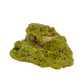 Specimen no. 25 of Minas Gerais nontronite, primary display face, olive-green bubbles built up over a 2.81 inch height.