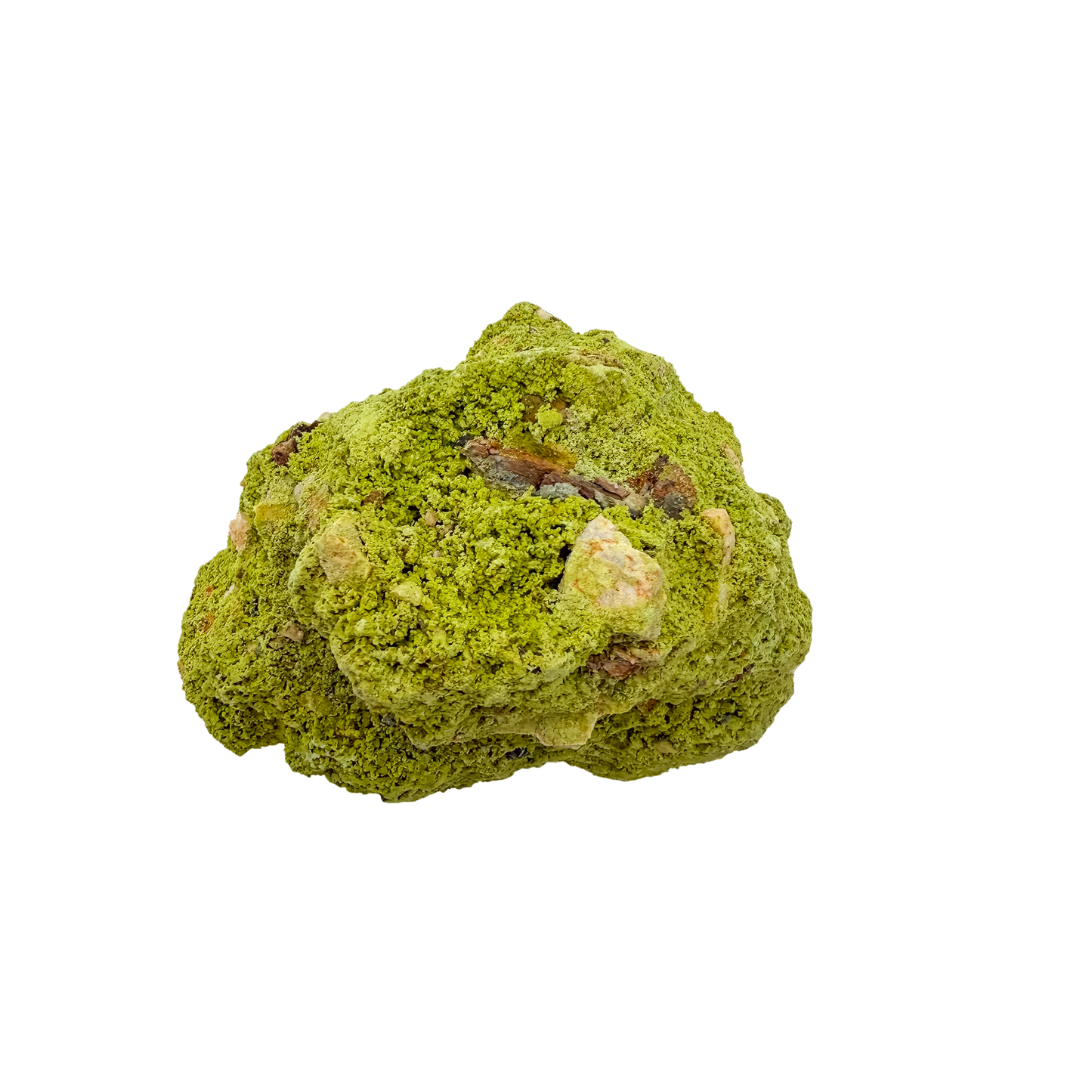 The top-down view of collector nontronite no. 25, 210 grams, showing how the bubbled crust wraps the host rock.