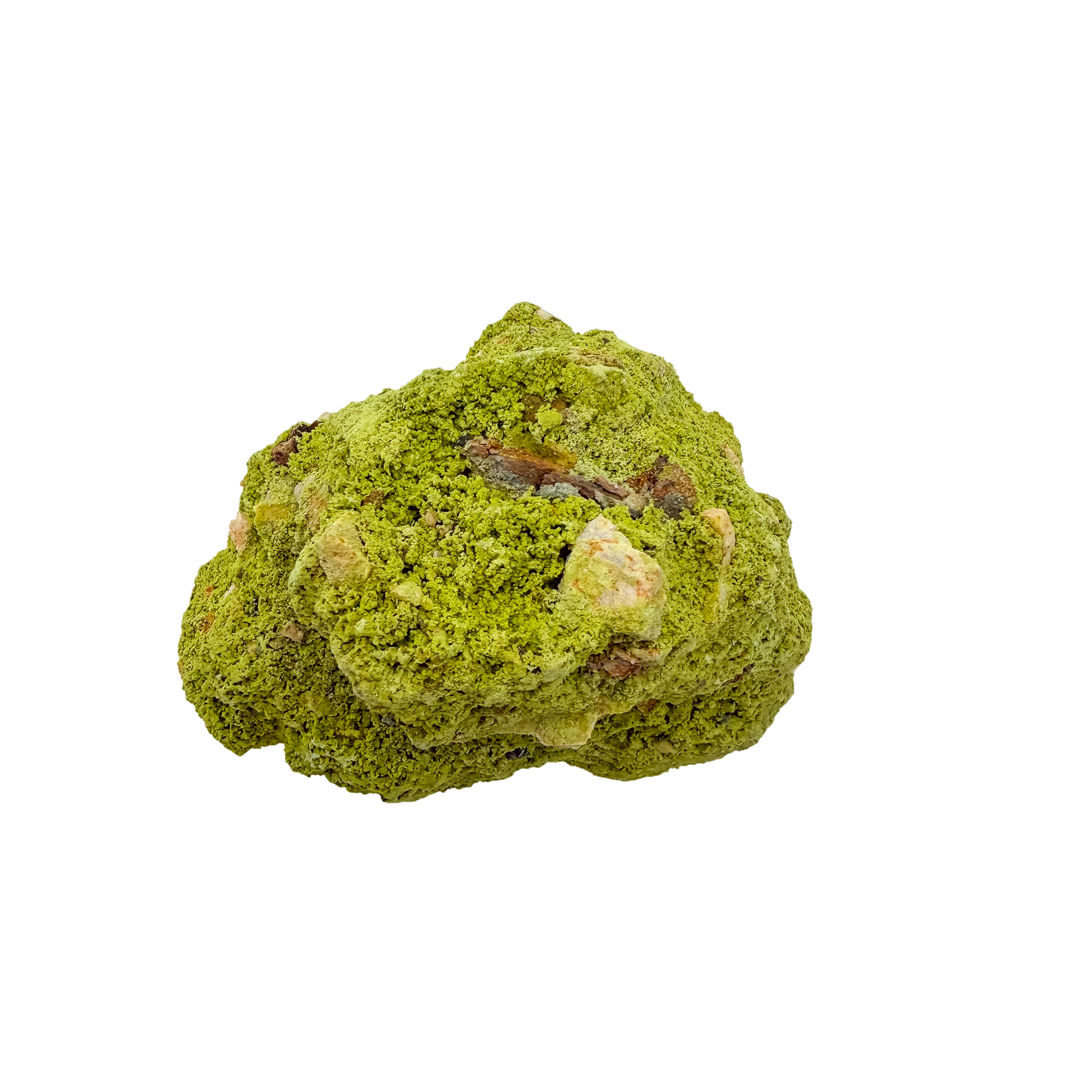 The top-down view of collector nontronite no. 25, 210 grams, showing how the bubbled crust wraps the host rock.