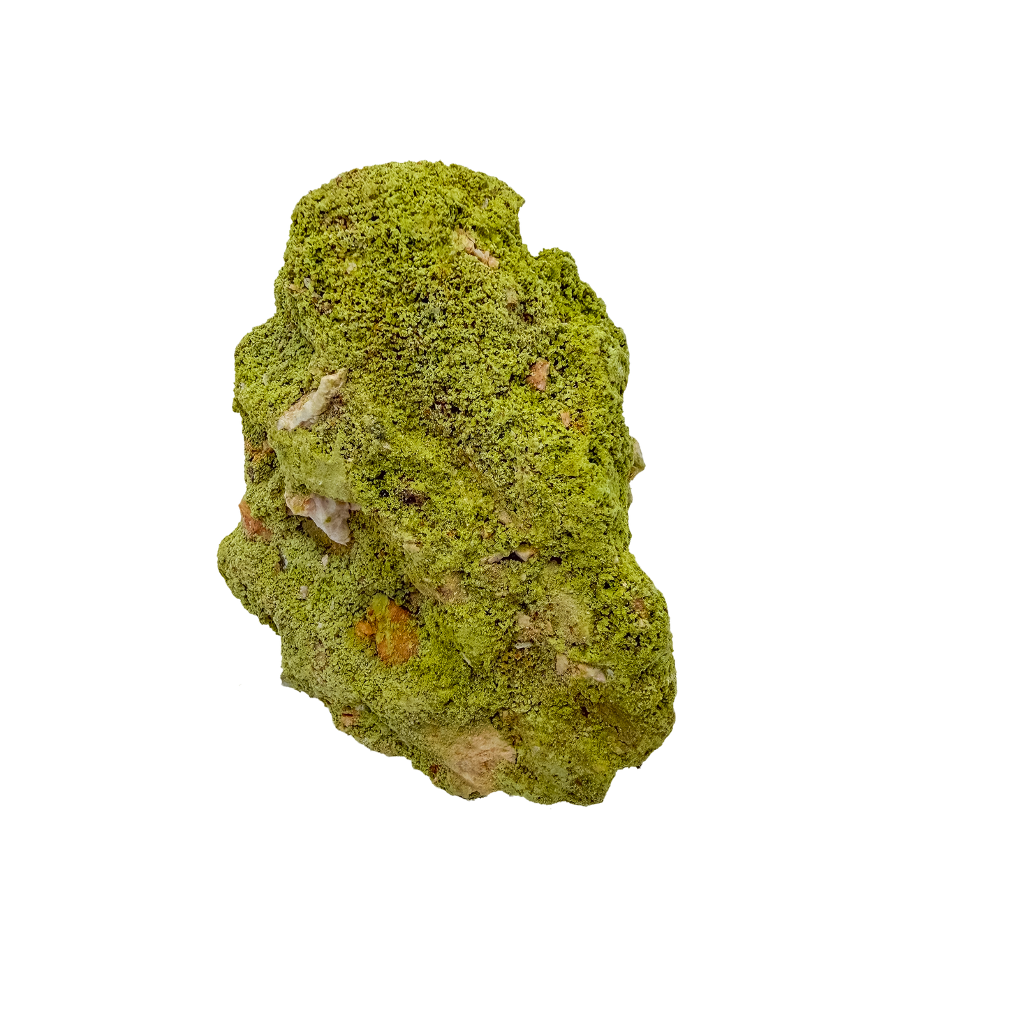 Nontronite specimen no. 25 photographed angled three-quarter view, a 3.67 by 2.30 inch piece of soft Mohs 1-2 clay mineral.