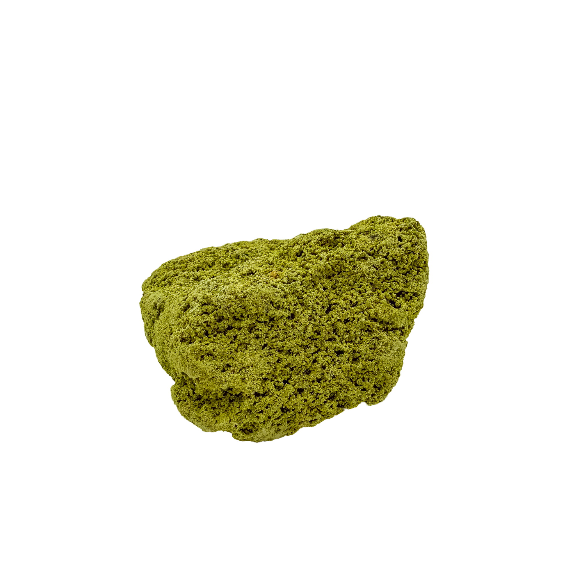 Top-down view of nontronite specimen no. 26, 2.69 inches wide, with soft botryoidal texture over exposed matrix.